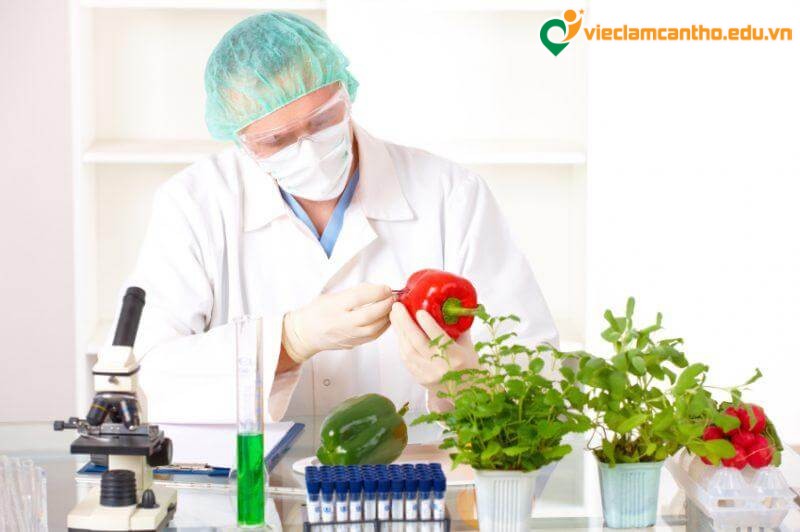Kỹ sư công nghệ thực phẩm có thực sự cần thiết?