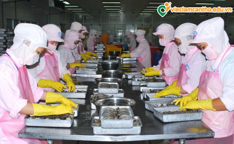 Công nghệ thực phẩm làm gì