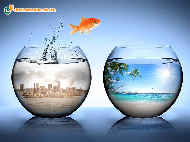 sống trong vùng thoải mái quá lâu
