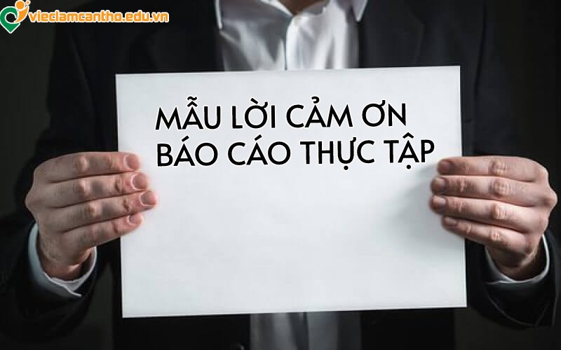 Mẫu lời cảm ơn báo cáo thực tập được đánh giá cao