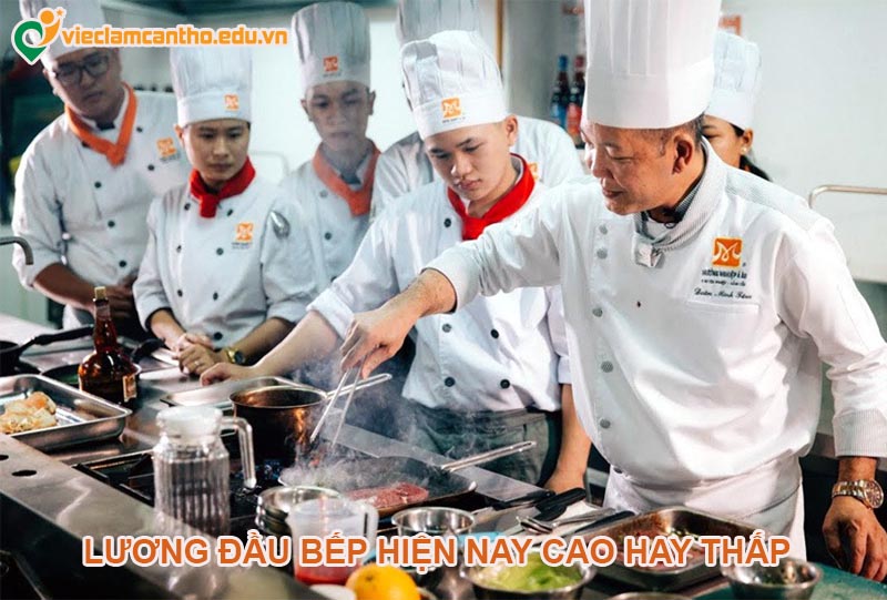 Lương đầu bếp hiện nay có cao không