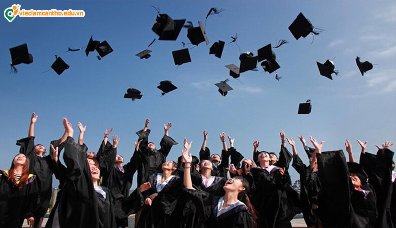 Cung cấp điểm trung bình tốt nghiệp vào CV