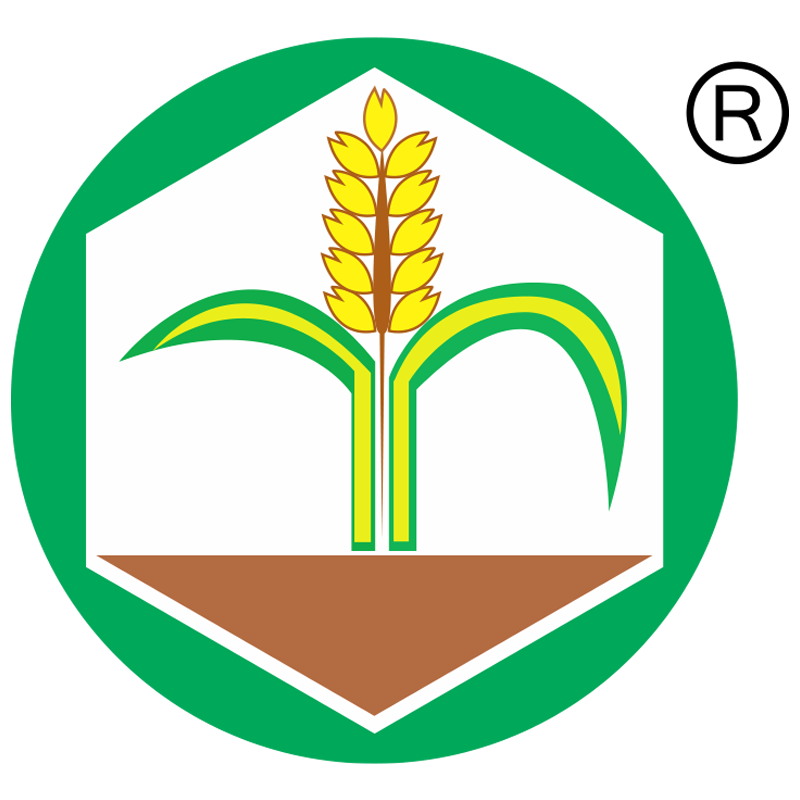 Công ty TNHH TM Thái Phong
