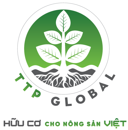 Công Ty Cổ Phần Đầu Tư Ttp Global