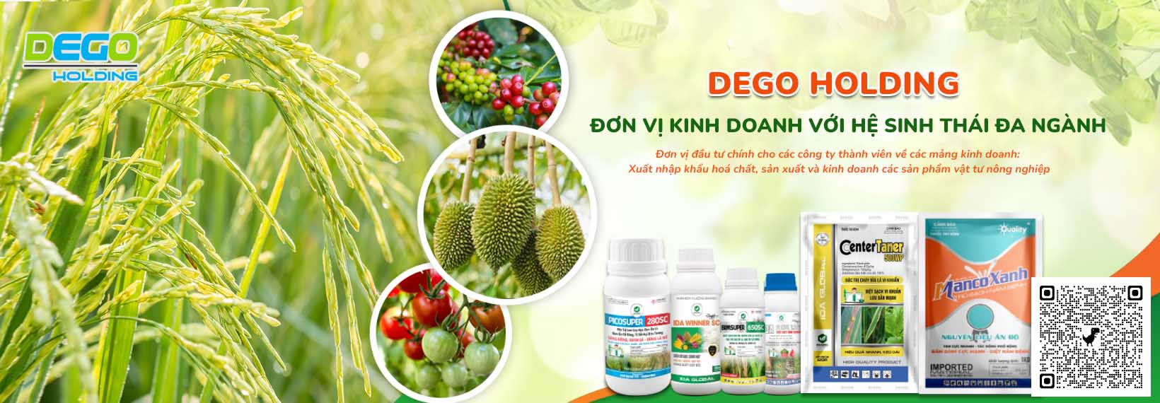 Công Ty  TNHH Dego Holding