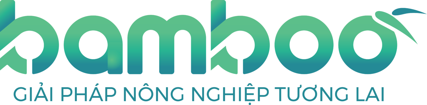 CÔNG TY TNHH XUẤT NHẬP KHẨU SẢN XUẤT THƯƠNG MẠI BAMBOO VIỆT NAM